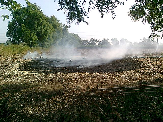 COVID-19 රෝගීන් වැඩි කිරීමට කළු කාබන් අංශු දායක වේ