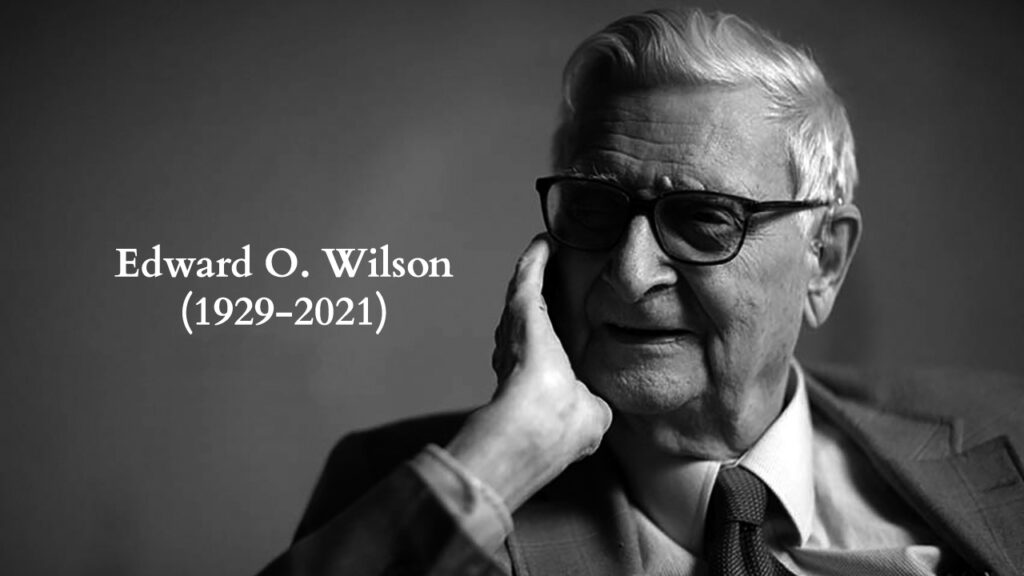 ප්‍රකට ජීව විද්‍යාඥයෙකු සහ කතුවරයෙකු වූ එඩ්වඩ් ඕ.විල්සන් අභාවප්‍රාප්ත වෙයි