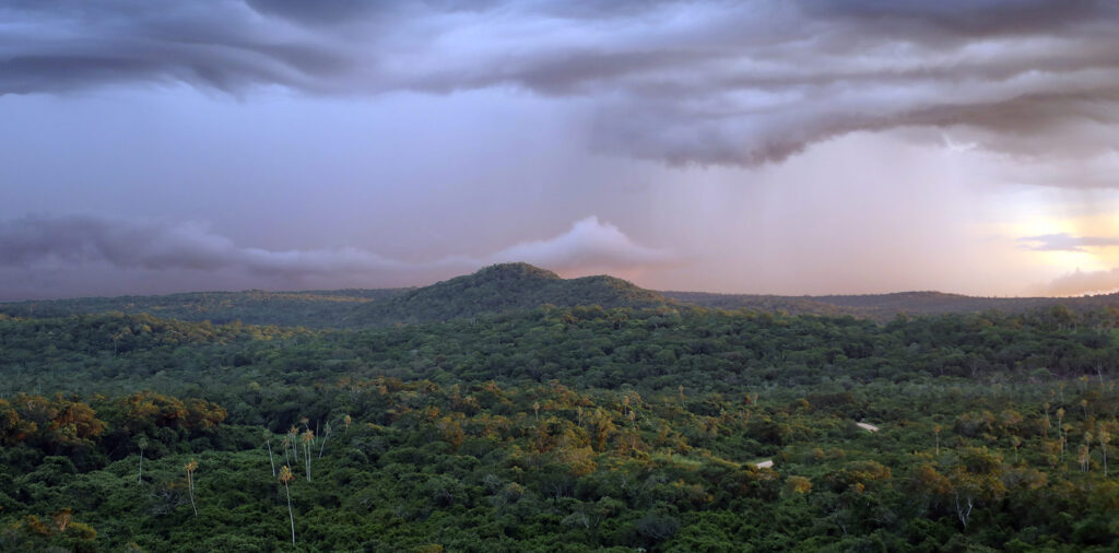 ලා නිනා තත්ත්වය නිවර්තන වනාන්තර සඳහා හොඳ ආරංචියක්ද?