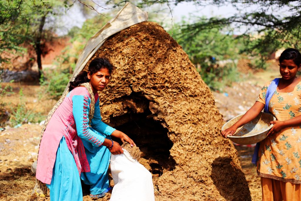 ජෛව ශක්තියෙන් භෝග වගා කිරීමෙන් පරිසරයේ සිසිලන බලපෑමක් ඇති වේ