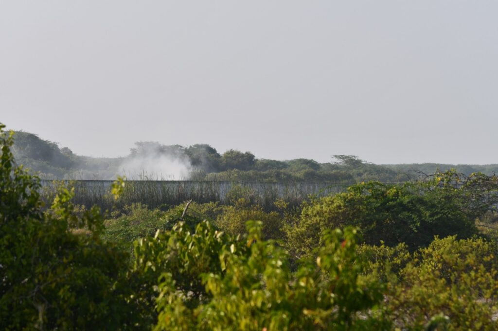 තර්ජන රැසකට මුහුණ පා ඇති මන්නාරම් දූපත 