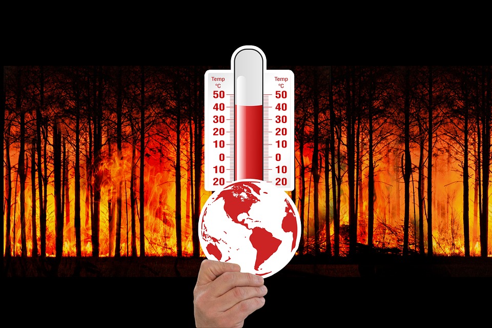 ඉදිරි වසර පහ තුළ ලෝකය, තාවකාලිකව 1.5°Cක්, නීති නොතකා භාවිතා කරනු ඇත