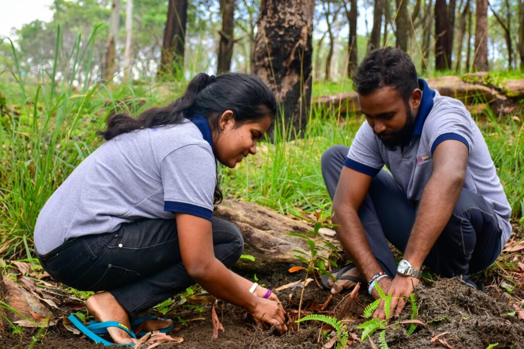 තතු දැනගෙන ඉටු කළ යුතු රුක් රෝපණ යුතුකම 